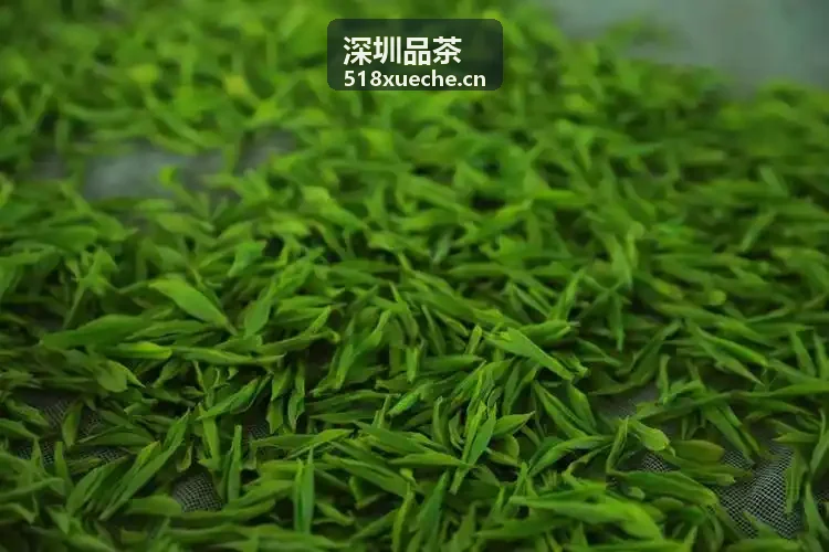 深圳品茶茶艺体验课程